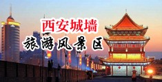 逼滋水中国陕西-西安城墙旅游风景区